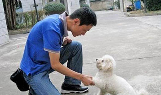 為什么狗狗毛長的很慢