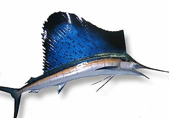 魚缸里打氧有什么好處