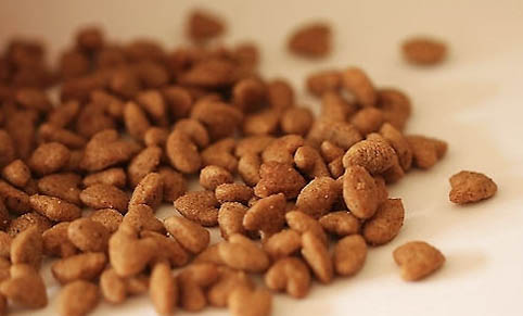 純天然鮮肉狗糧哪個(gè)牌子好?