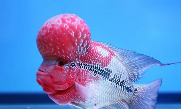 冬天適合釣魚嗎