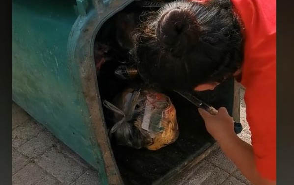 貓咪尿道口紅腫發炎怎么治療