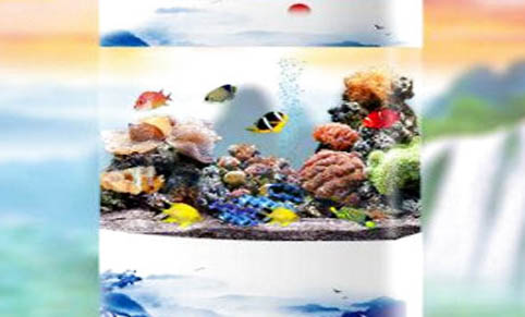 魚缸里用不用放清道夫，魚缸內養清道夫的利弊