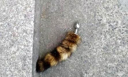 重慶貓舍在哪里