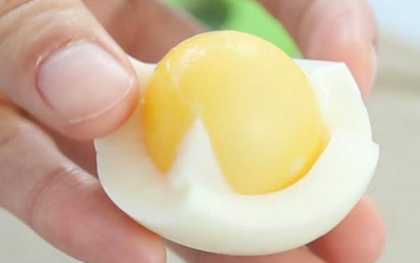 初次養(yǎng)柯基注意事項(xiàng)