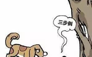 狗外出隨地排泄大便的危害有哪些?