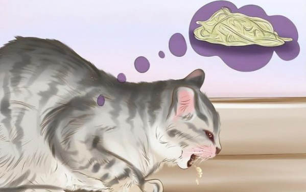貓咪拉肚子一直叫不停怎么辦