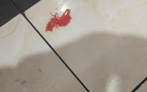 貓瘟病毒多久能消滅
