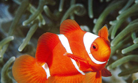 晚上釣魚釣多遠合適