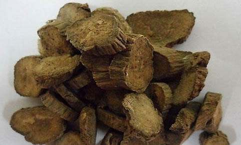 請問貓咪嘔吐的原因及處理方法?