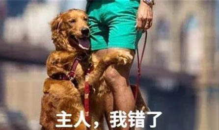 影響狗狗健康的食物有哪些
