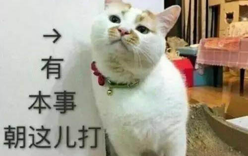 貓咪為什么會拉肚子放屁呢