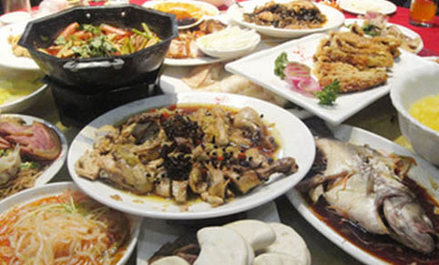 貓咪食欲不佳嘔吐可以吃罐頭嗎