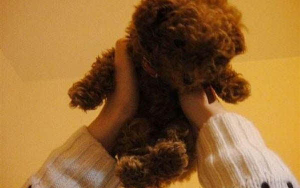狗狗皮膚病泡藥浴
