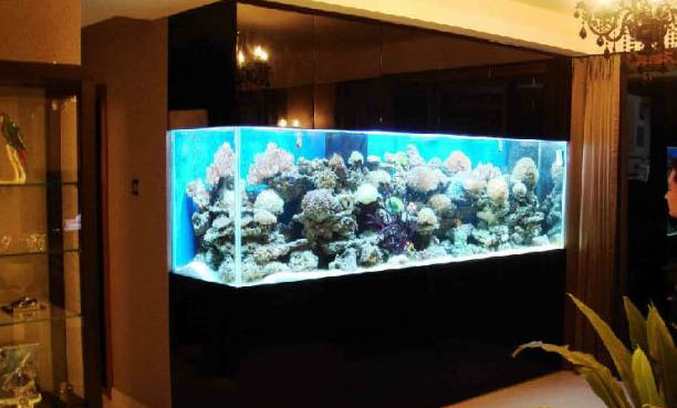 魚缸掛式過濾器安裝方法